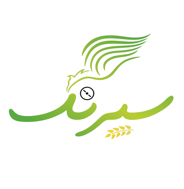 پرواز یاران سیرنگ